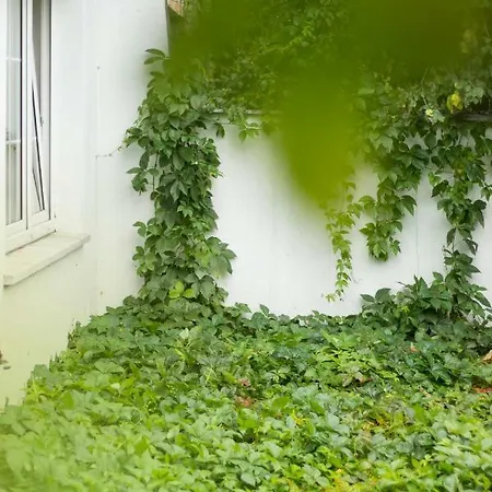 Hostel Magic Garden *