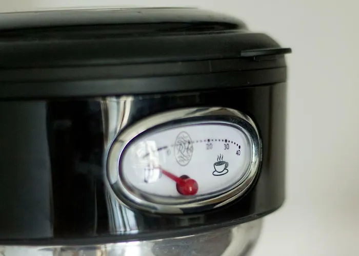 Magic Garden Hostel Kalisz (Greater Poland)