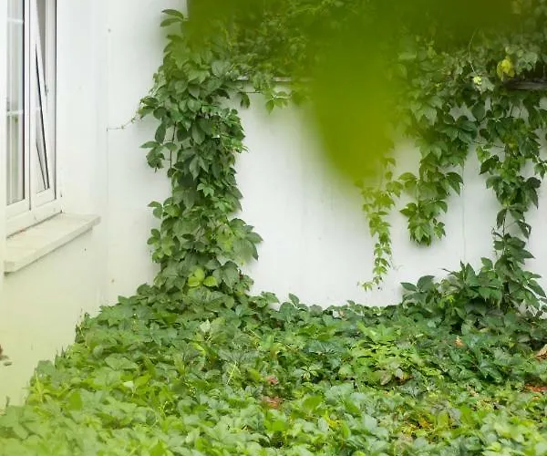 Hostel Magic Garden *